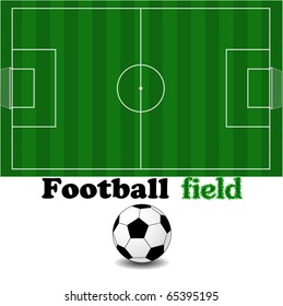 vector illustration of a soccer player and a soccer field