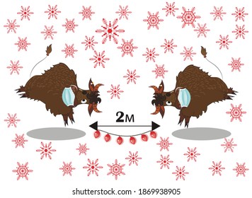 
Vector illustration social distance 2 meters. Two bulls in masks on a background of snowflakes. Coronavirus, safety, Christmas.