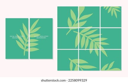 Vector illustration of social media template post and story. Square design with natural, yellow, blue, green, leaf templates for popular and business information background