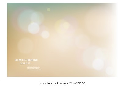 vector illustration of soft colored abstract blurred light background layout design , can be use for background concept or festival background.