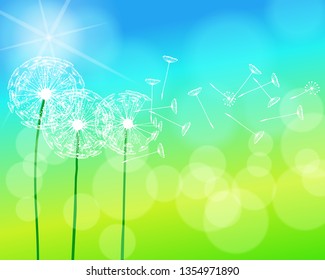 Vector illustration of soft focus spring dandelions