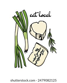 Vector illustration of soft French cheese, leek and rosemary twig. Freehand ink drawing, graphic style. Beautiful local food and healthy eating illustration