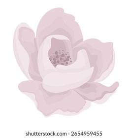 Vector illustration of a soft pink Rose Flower with delicate petals in pink pastel colors. Art of blooming plant for wedding invitations or childish greeting cards. Botanical drawing for baby girl.