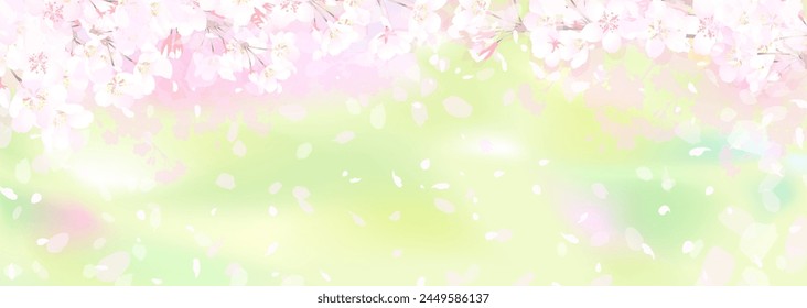 Vector illustration of soft and vague cherry blossoms and fresh greenery