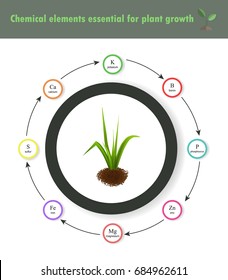 Vector illustration of soil and green grass with chemical elements essential for plant growth. Organic fertilizing. Main trace elements in fertilizers. Agriculture  infographic with trace elements. 