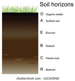 Vector illustration of soil horizons (layers). Easy to edition.