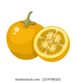 Vector illustration, Solanum quitoense, known as naranjilla, isolated on white background.