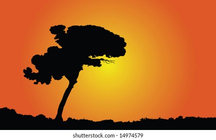 vector illustration of a solitary tree at sunset
