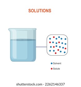 Vector illustration of a solution isolated on white background. Dissolving solid particles or ions in a liquid, chemistry. Beaker or container with solute in a solvent. 