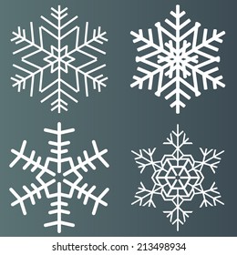 Vector illustration of some beautiful snowflakes