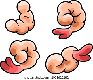 Vector illustration of some delicious shrimp. Cartoon style.