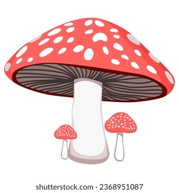Vector illustration of some fly mushrooms isolated on white background. Amanita Mushroom Magic Muscaria Fly Agaric