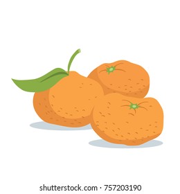 vector illustration of some small tangerines or mandarin satsuma oranges