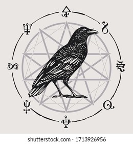 Vector illustration with a sorcery Crow or wise black Raven on the background of an octagonal star. Hand-drawn banner on the witchcraft theme in vintage style
