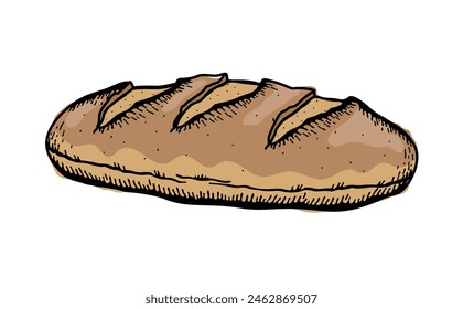 Vector illustration of a sourdough bread