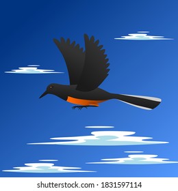 Vector illustration of Southeast Asian stone magpie flying in blue sky with clouds. suitable for education

