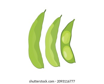 Vector illustration of soybean in cartoon style for template label, packing and emblem farmer market design.
