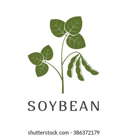 Vector Illustration Of A Soybean Plant Isolated On White Background / Soybean  Silhouette 