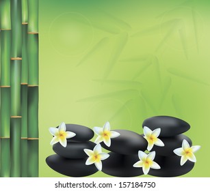 vector illustration of spa decoration including spa, plumeria and bamboo