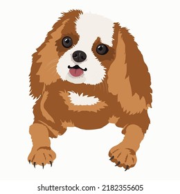 Vector illustration of a spaniel dog. The dog is isolated on a white background.