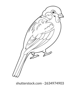 ilustração vetorial de Pardal em aparências de contorno