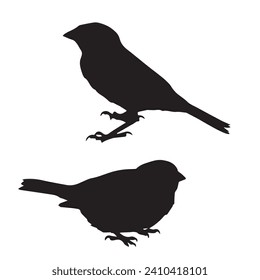 Vector Illustration of Sparrow Silhouette