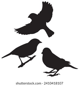 Vector Illustration of Sparrow Silhouette