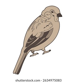 ilustração vetorial de Sparrow em aparências vintage