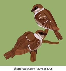 vector illustration of sparrows on a branch