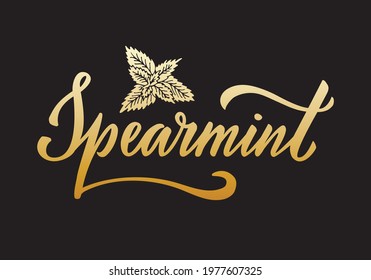 Vector Illustration Of Spearmint Lettering For Packages, Product Design, Banner, Spice Shop  Price Lists. Handwritten Word With Leaves For Web Or Print
