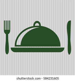 Vector illustration of Special Food icon in green.
