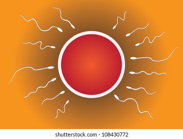 Vector illustration of Sperm And Egg