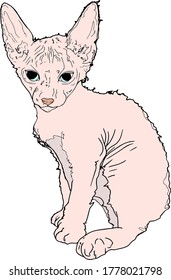 Vector illustration of sphinx cat on white background. Cute kitten as a logo, print, blank for designers