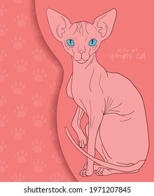vector illustration with Sphynx cat in cartoon style, orange and blue colors
