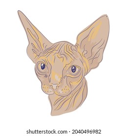 Ilustración vectorial de la cabeza del gato Sphynx. Rompecabezas aislado de la esfinx del gato.