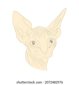 Vektorgrafik des Sphynx-Katzenkopfes. Einziger Muzzle der Katzensphynx.