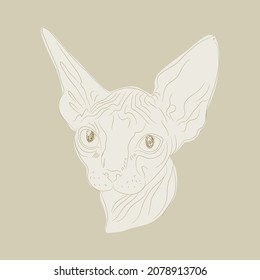 Vector illustration of Sphynx cat head. Isolated Muzzle of cat sphynx.