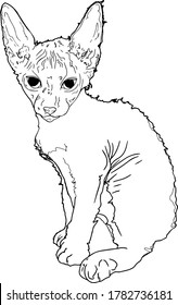 
Vector illustration of a sphynx cat with a liner isolated on a white background. For printing on clothes, paper, logo, icon, blank for designers T-shirts, dishes, bed