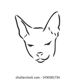 Vector illustration of a sphynx cat with a liner isolated on a white background. For printing on clothes, paper, logo, icon