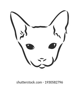 Vektorgrafik einer sphynxen Katze mit einem Liner einzeln auf weißem Hintergrund. Zum Bedrucken von Kleidung, Papier, Logo, Symbol