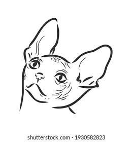 Vektorgrafik einer sphynxen Katze mit einem Liner einzeln auf weißem Hintergrund. Zum Bedrucken von Kleidung, Papier, Logo, Symbol