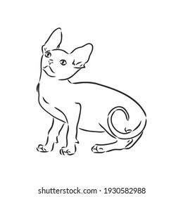 Vektorgrafik einer sphynxen Katze mit einem Liner einzeln auf weißem Hintergrund. Zum Bedrucken von Kleidung, Papier, Logo, Symbol