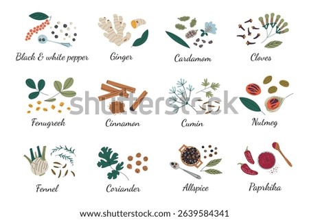 Vector illustration of spice collection with labels. Culinary ingredients for cooking, kitchen seasoning set, flat aromatic herbs and spices for recipes and dishes, cumin, cardamom, turmeric icons