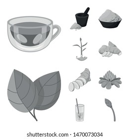 Vector illustration of spice and ingredient icon. Set of spice and product vector icon for stock.