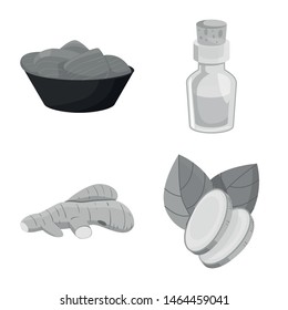 Vector illustration of spice and ingredient logo. Collection of spice and product stock symbol for web.