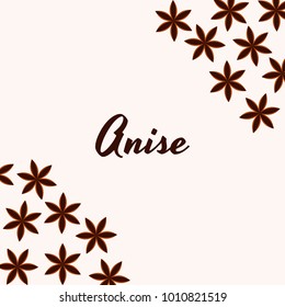 Vector illustration. Spice. Star anise. Badian.