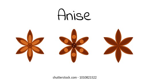 Vector illustration. Spice. Star anise. Badian.