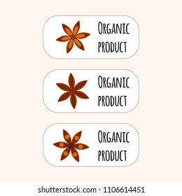 vector illustration. Spice. Star anise Badian. Set of logo. Organic product
