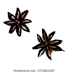 A vector illustration of the spice star anise drawn with a brush stroke.
