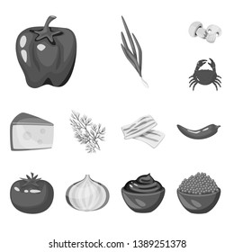 Vector illustration of spices  and aroma icon. Set of spices  and product stock vector illustration.